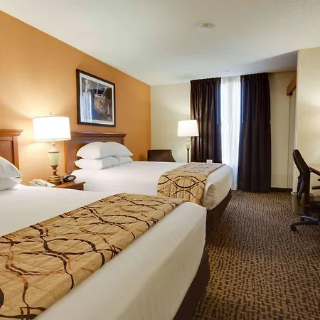 Wingate By Wyndham St Louis-Fenton Route 66 Hotel